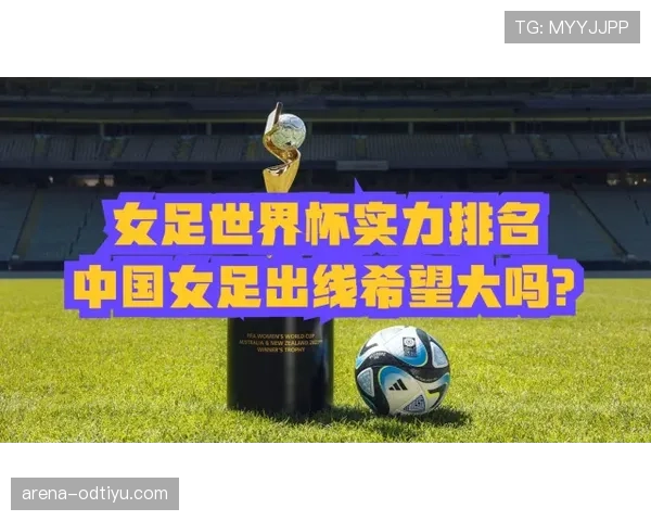 2026世界杯东道主球队世界杯表现预测排行榜